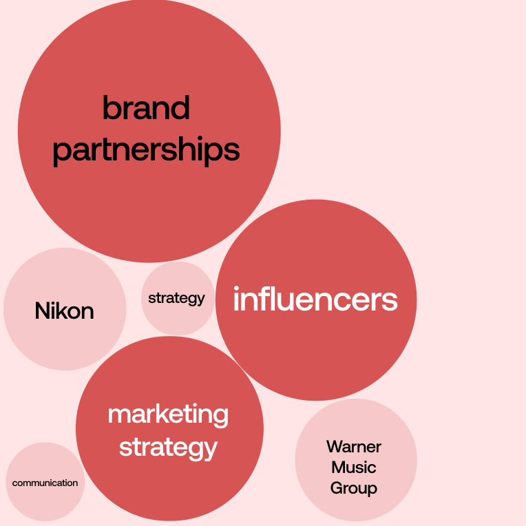 Influencer Brand Partnerships – Social Media Marketing Services in Pakistan
